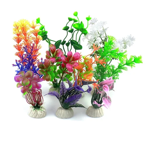 Aquarium Plants
