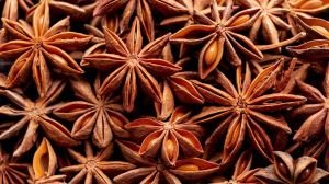 Star Anise Seeds
