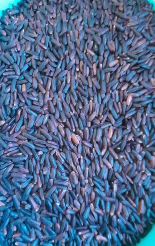 Organic Black Kavuni Rice