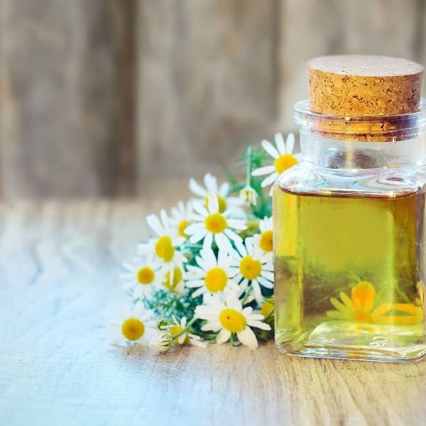 jasmine oil