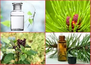 Alpha Pinene Oil