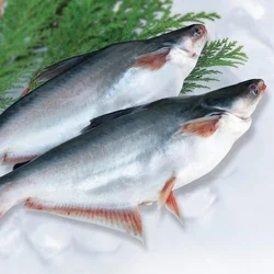 basa fish