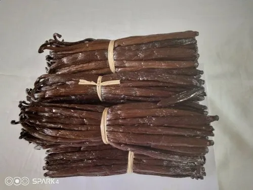 indian vanilla beans