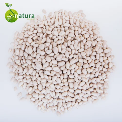 phaseolus beans