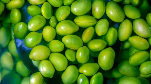 green soy beans