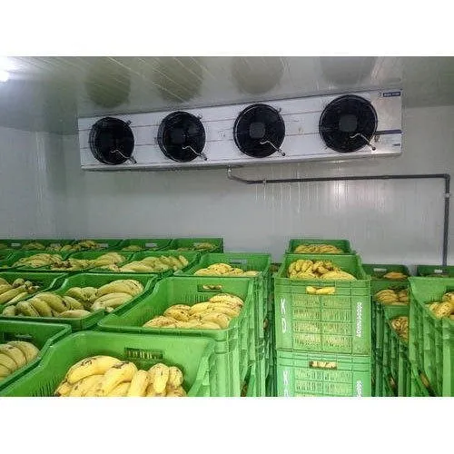 banana ripening chamber