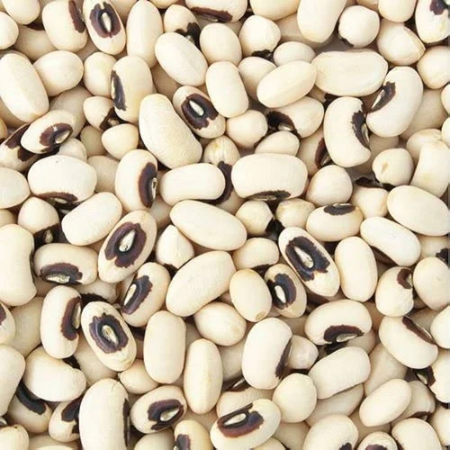 organic cocoa beans