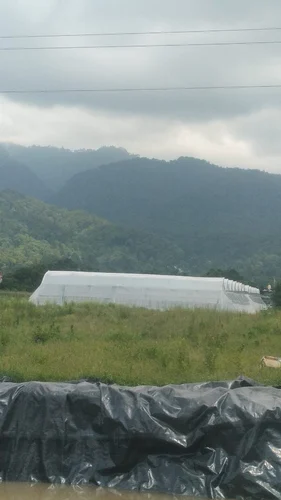 organic farming