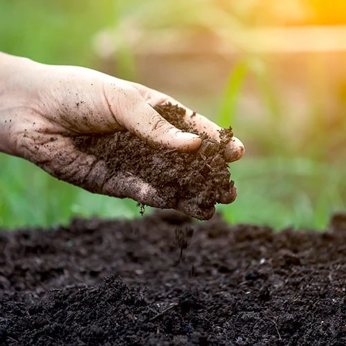 soil testing services