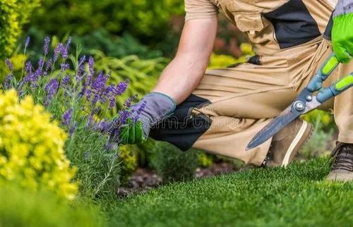 Garden Developments
