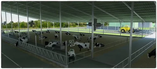 dairy farming