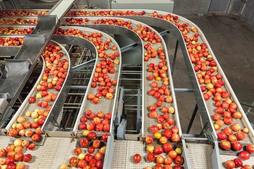 post harvest management