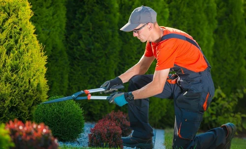 horticulture services