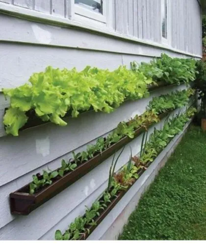 horticultural consultants