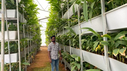 agro consultancy