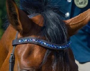 Horse Browbands