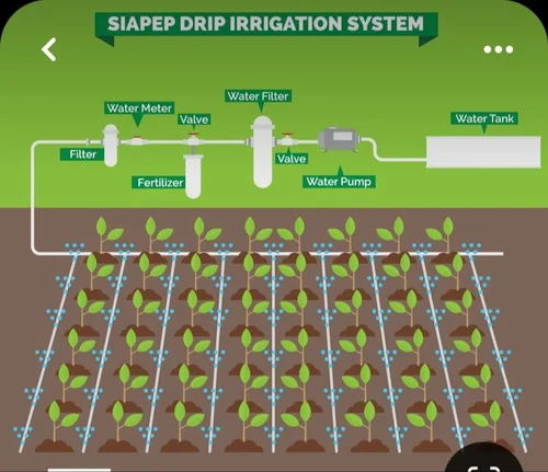 irrigation consultants
