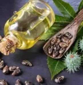 Castor Seed Oil10