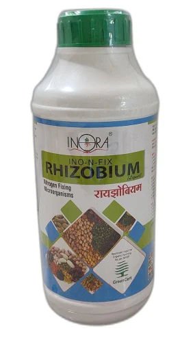 Rhizobium