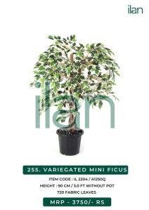 artificial variegated mini ficus plant