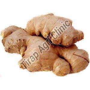 Fresh Ginger
