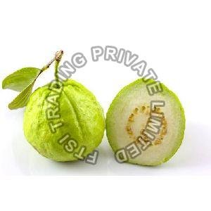 Fresh Guava