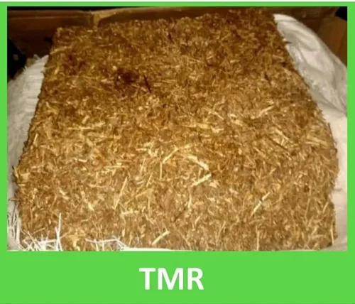 TMR Cow Cattle Feed