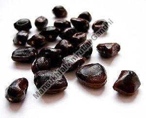 Tamarind Seeds