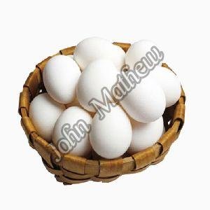 Fresh Table Egg