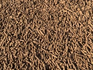 16mm Biomass Wood Pellet
