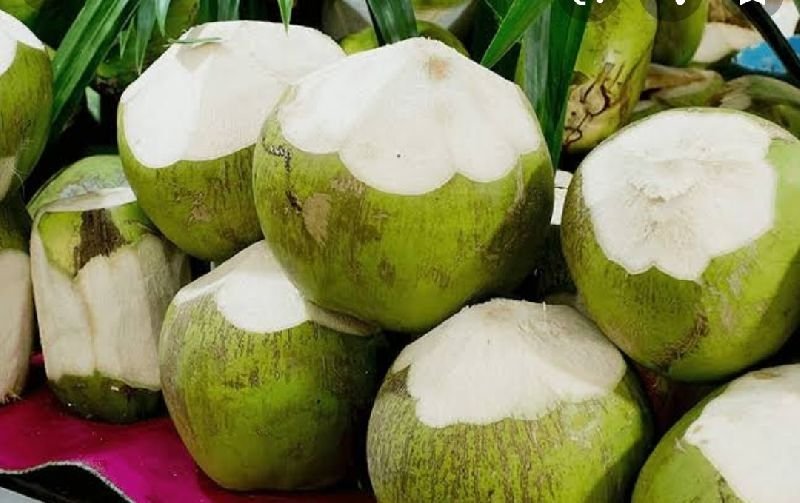 Tender Coconut