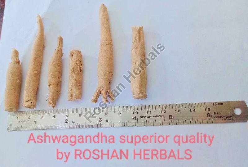 Ashwagandha Roots