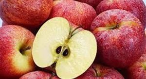 Fresh Apple, Quality : Good Condition