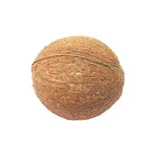 Fully Husked Coconut