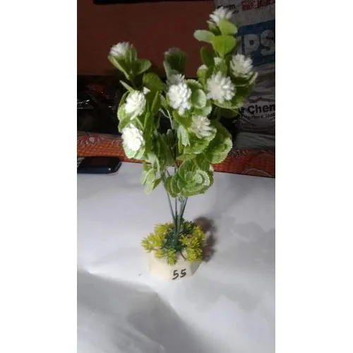 aquatic plants