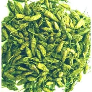 green chilli