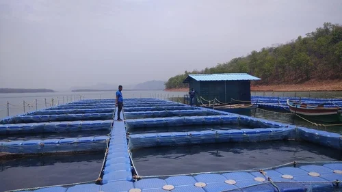 aquaculture
