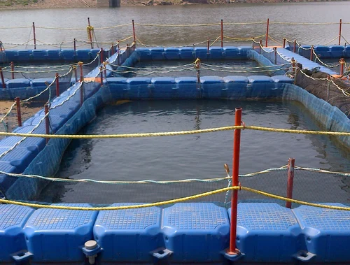 aquaculture
