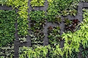 Vertical garden, Finishing : Polished