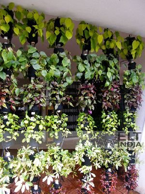 Wire Ropes Vertical Garden, orientation: Vertical, Usage : For Decoration