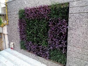 vertical gardens, Color: Green and Violet