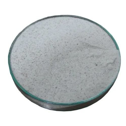 bacillus subtilis