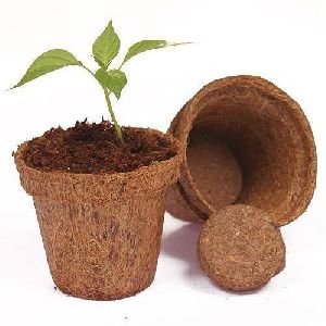 Coco Pots, Material: coco coir