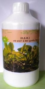 Potassium Solubilizing Bacteria, Product type : Bio Fertilizer