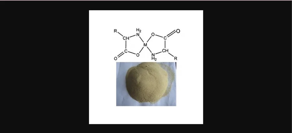 Calcium Glycine