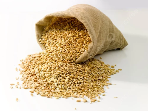Sunand Pearled Wheat Sonahari