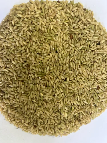 Ilupai Poo Samba