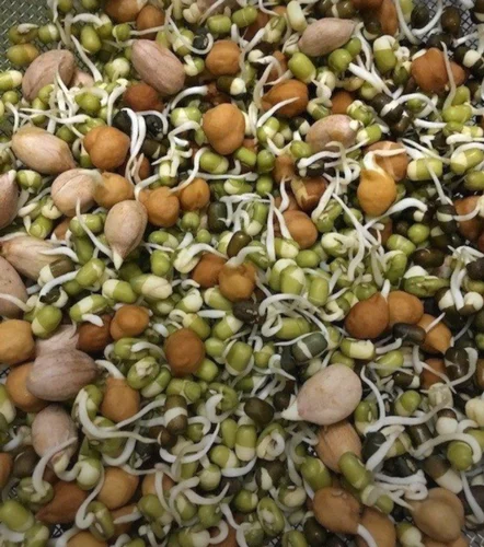 Sprouted Grains Organic