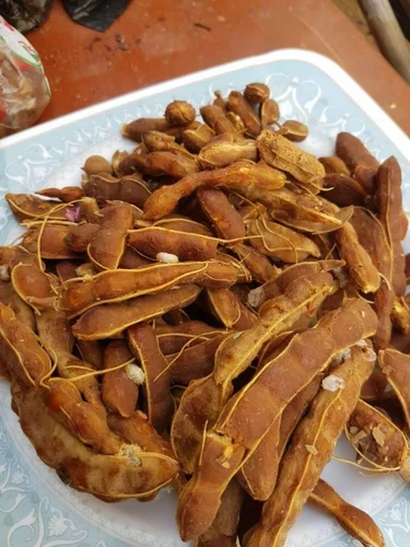 Tamarind / Emlie