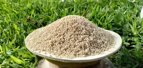 Barnyard Millet Unpolished